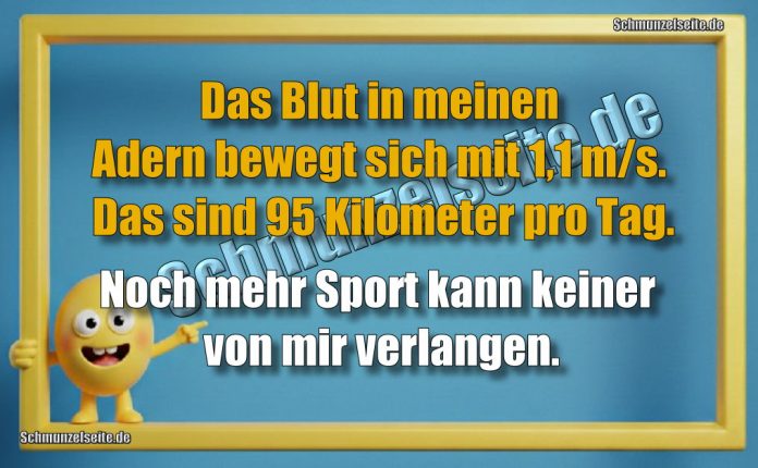 Das Blut in meinen Adern bewegt sich mit 1,1 m/s. Das sind 95 Kilometer pro Tag. Noch mehr Sport kann keiner von mir verlangen.