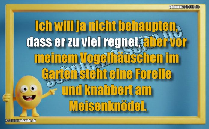 Ich will ja nicht behaupten, dass er zu viel regnet, aber vor meinem Vogelhäuschen im Garten steht eine Forelle und knabbert am Meisenknödel.