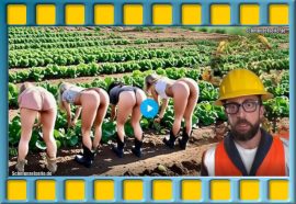 Was für eine tolle Baustellen-Compilation. Hier geht natürlich alles schief. Unfassbar.