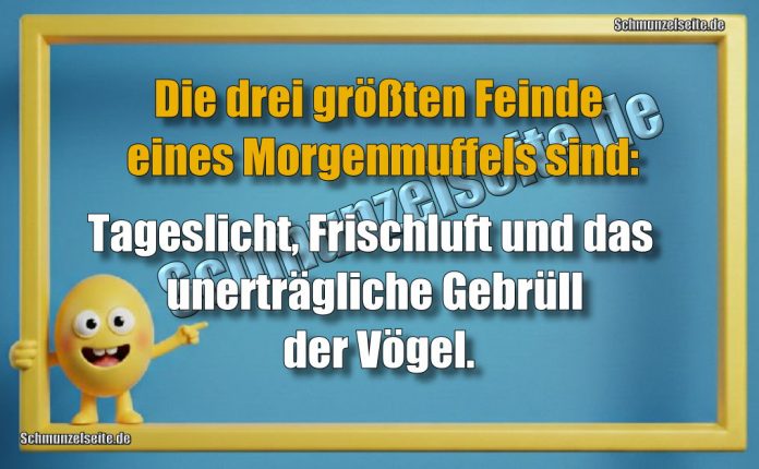 Die drei größten Feinde eines Morgenmuffels sind: Tageslicht, Frischluft und das unerträgliche Gebrüll der Vögel.