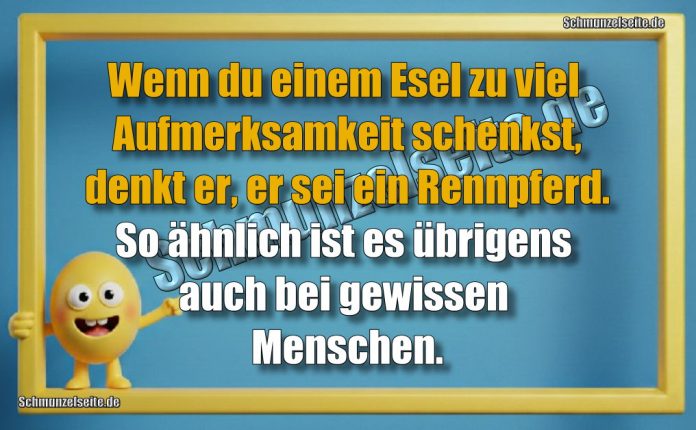 Wenn du einem Esel zu viel Aufmerksamkeit schenkst, denkt er, er sei ein Rennpferd. So ähnlich ist es übrigens auch bei gewissen Menschen.