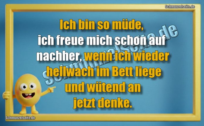 Ich bin so müde, ich freue mich schon auf nachher, wenn ich wieder hellwach im Bett liege und wütend an jetzt denke.