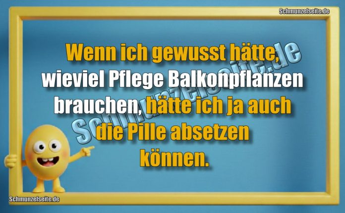 Wenn ich gewusst hätte, wieviel Pflege Balkonpflanzen brauchen, hätte ich ja auch die Pille absetzen können.