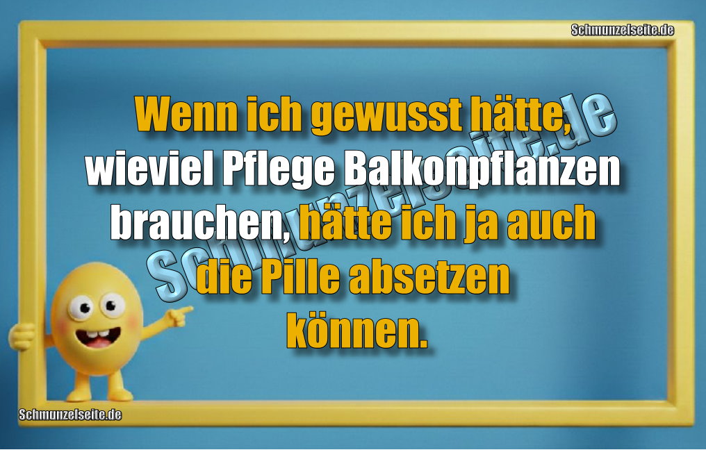 Wenn ich gewusst hätte, wieviel Pflege Balkonpflanzen brauchen, hätte ich ja auch die Pille absetzen können.