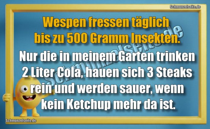 Wespen fressen täglich bis zu 500 Gramm Insekten. Nur die in meinem Garten trinken 2 Liter Cola, hauen sich 3 Steaks rein und werden sauer, wenn kein Ketchup mehr da ist.