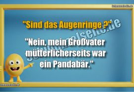 "Sind das Augenringe?" "Nein, mein Großvater mütterlicherseits war ein Pandabär."