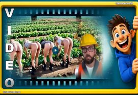 Was für eine tolle Baustellen-Compilation. Hier geht natürlich alles schief. Unfassbar.