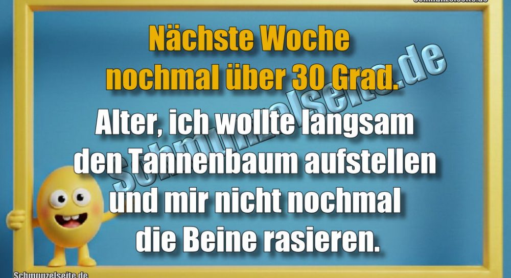 Nächste Woche nochmal über 30 Grad. Alter, ich wollte langsam den Tannenbaum aufstellen und mir nicht nochmal die Beine rasieren.