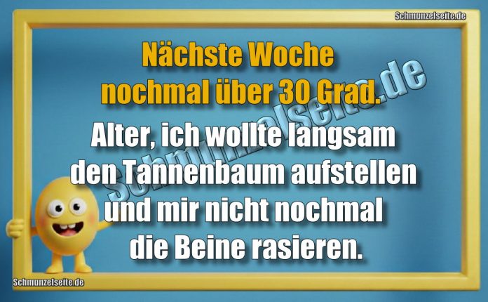 Nächste Woche nochmal über 30 Grad. Alter, ich wollte langsam den Tannenbaum aufstellen und mir nicht nochmal die Beine rasieren.