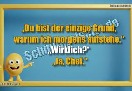 Der einzige Grund