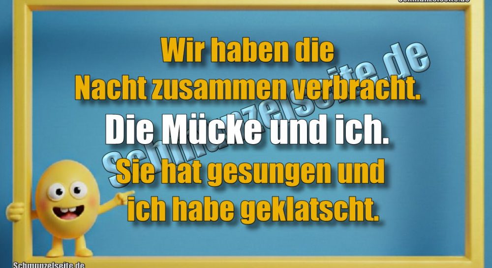 Wir haben die Nacht zusammen verbracht. Die Mücke und ich. Sie hat gesungen und ich habe geklatscht.