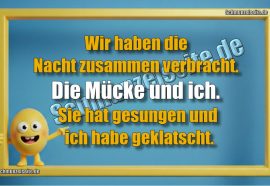 Wir haben die Nacht zusammen verbracht. Die Mücke und ich. Sie hat gesungen und ich habe geklatscht.