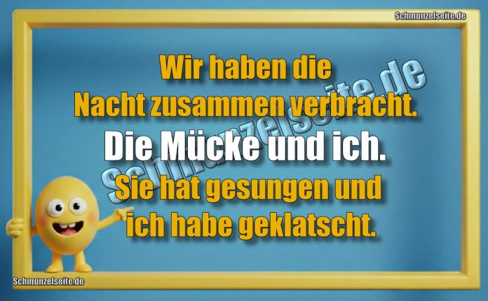 Wir haben die Nacht zusammen verbracht. Die Mücke und ich. Sie hat gesungen und ich habe geklatscht.