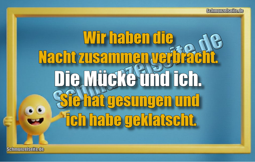 Wir haben die Nacht zusammen verbracht. Die Mücke und ich. Sie hat gesungen und ich habe geklatscht.