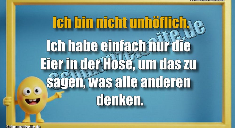 Ich bin nicht unhöflich. Ich habe einfach nur die Eier in der Hose, um das zu sagen, was alle anderen denken.