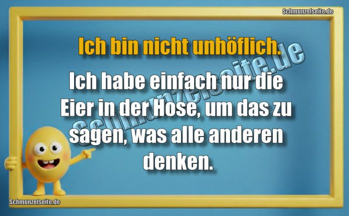 Ich bin nicht unhöflich. Ich habe einfach nur die Eier in der Hose, um das zu sagen, was alle anderen denken.