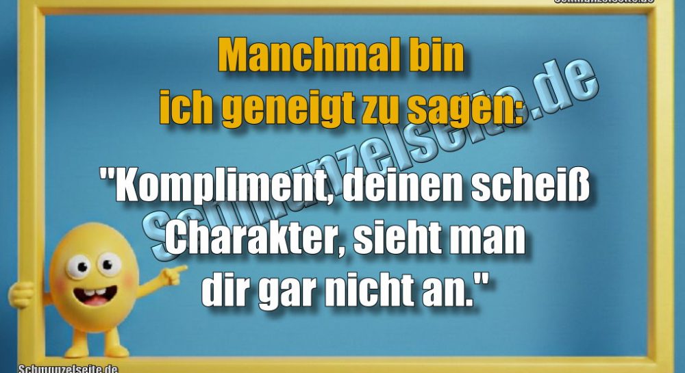 Manchmal bin ich geneigt zu sagen: "Kompliment, deinen scheiß Charakter, sieht man dir gar nicht an."