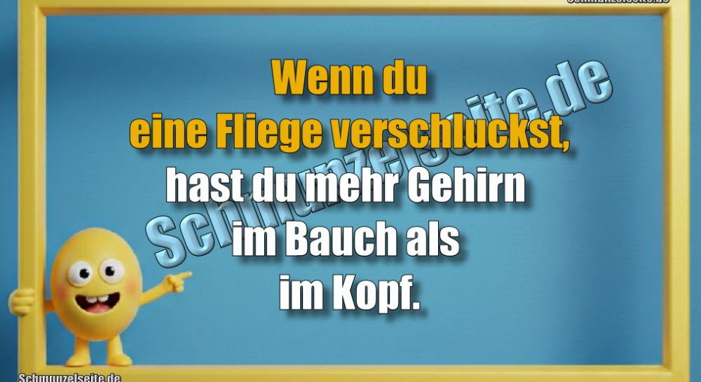 Wenn du eine Fliege verschluckst, hast du mehr Gehirn im Bauch als im Kopf.