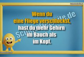 Wenn du eine Fliege verschluckst, hast du mehr Gehirn im Bauch als im Kopf.