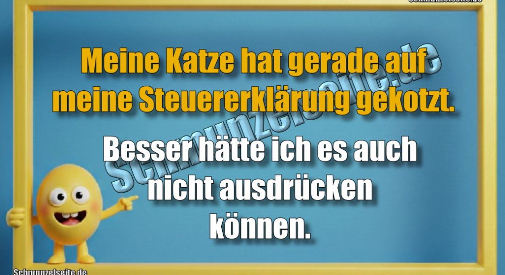 Meine Katze hat gerade auf meine Steuererklärung gekotzt. Besser hätte ich es auch nicht ausdrücken.