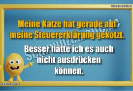 Meine Katze hat gerade auf meine Steuererklärung gekotzt. Besser hätte ich es auch nicht ausdrücken.