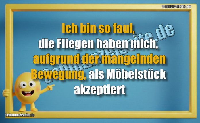 Ich bin so faul, die Fliegen haben mich, aufgrund der mangelnden Bewegung, als Möbelstück akzeptiert
