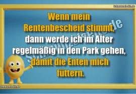 Wenn mein Rentenbescheid stimmt, dann werde ich im Alter regelmäßig in den Park gehen, damit die Enten mich füttern.