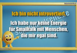 Ich bin nicht introvertiert .Ich habe nur keine Energie für Smalltalk mit Menschen, die mir egal sind.