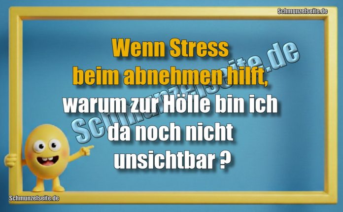 Wenn Stress beim abnehmen hilft, warum zur Hölle bin ich da noch nicht unsichtbar?