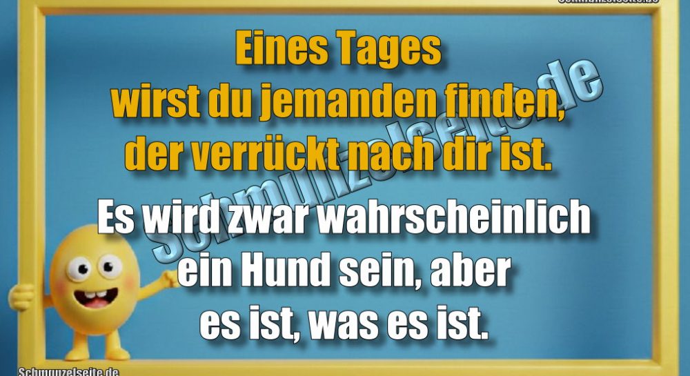 Eines Tages wirst du jemanden finden, der verrückt nach dir ist. Es wird zwar wahrscheinlich ein Hund sein, aber es ist, was es ist.