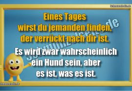 Eines Tages wirst du jemanden finden, der verrückt nach dir ist. Es wird zwar wahrscheinlich ein Hund sein, aber es ist, was es ist.