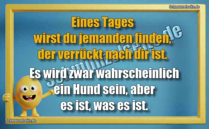 Eines Tages wirst du jemanden finden, der verrückt nach dir ist. Es wird zwar wahrscheinlich ein Hund sein, aber es ist, was es ist.