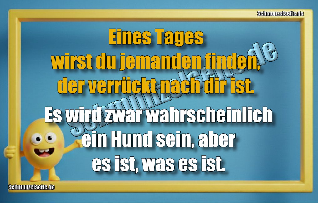 Eines Tages wirst du jemanden finden, der verrückt nach dir ist. Es wird zwar wahrscheinlich ein Hund sein, aber es ist, was es ist.