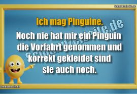 Ich mag Pinguine. Noch nie hat mir ein Pinguin die Vorfahrt genommen und korrekt gekleidet sind sie auch noch.