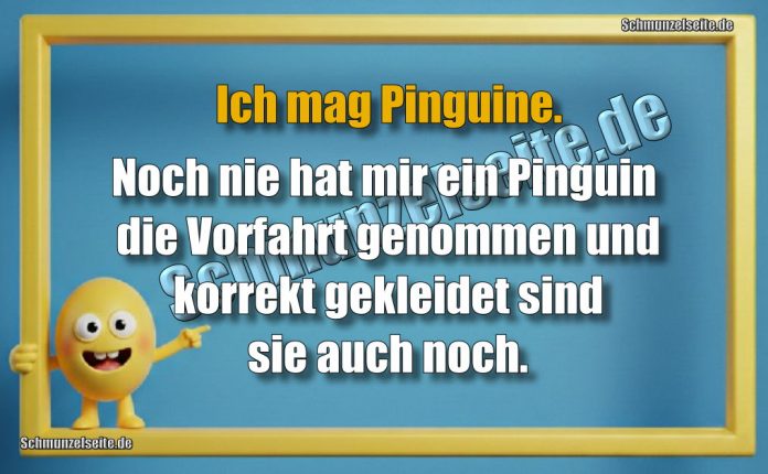 Ich mag Pinguine. Noch nie hat mir ein Pinguin die Vorfahrt genommen und korrekt gekleidet sind sie auch noch.
