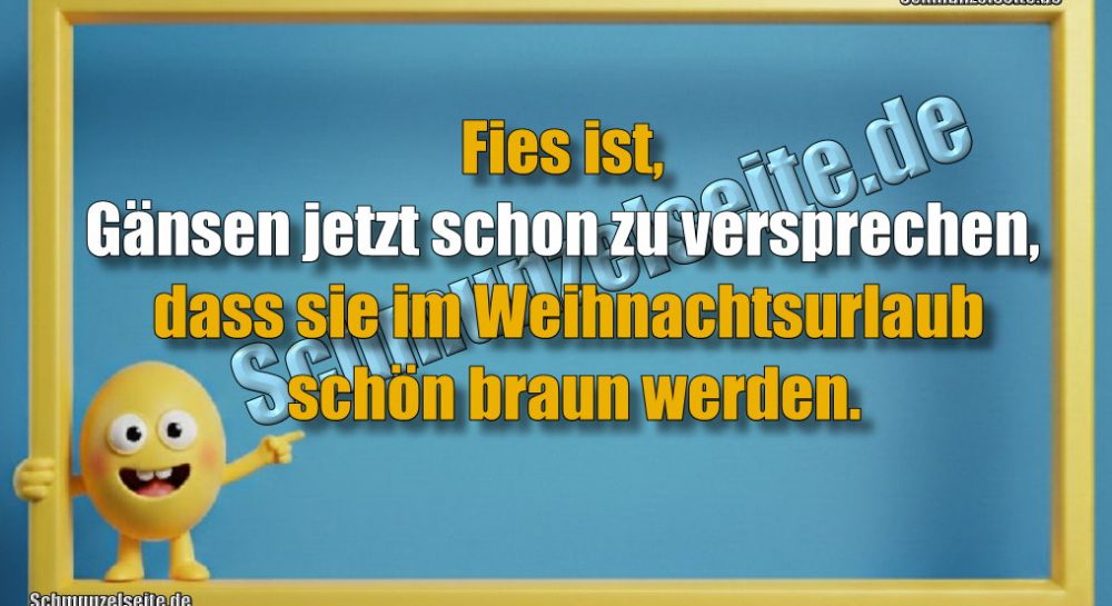 Fies ist, Gänsen jetzt schon zu versprechen, dass sie im Weihnachtsurlaub schön braun werden.