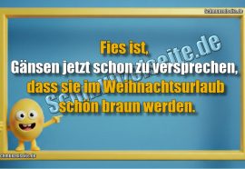Fies ist, Gänsen jetzt schon zu versprechen, dass sie im Weihnachtsurlaub schön braun werden.