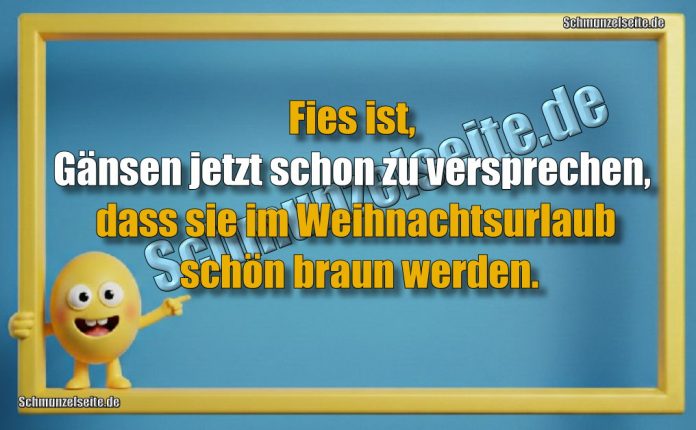 Fies ist, Gänsen jetzt schon zu versprechen, dass sie im Weihnachtsurlaub schön braun werden.