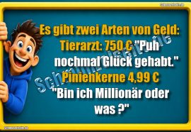 Arten von Geld