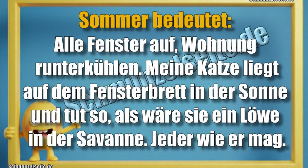 Sommer bedeutet: Alle Fenster auf, Wohnung runterkühlen. Meine Katze liegt auf dem Fensterbrett in der Sonne und tut so, als wäre sie ein Löwe in der Savanne. Jeder wie er mag.