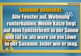 Sommer bedeutet: Alle Fenster auf, Wohnung runterkühlen. Meine Katze liegt auf dem Fensterbrett in der Sonne und tut so, als wäre sie ein Löwe in der Savanne. Jeder wie er mag.