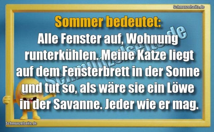 Sommer bedeutet: Alle Fenster auf, Wohnung runterkühlen. Meine Katze liegt auf dem Fensterbrett in der Sonne und tut so, als wäre sie ein Löwe in der Savanne. Jeder wie er mag.