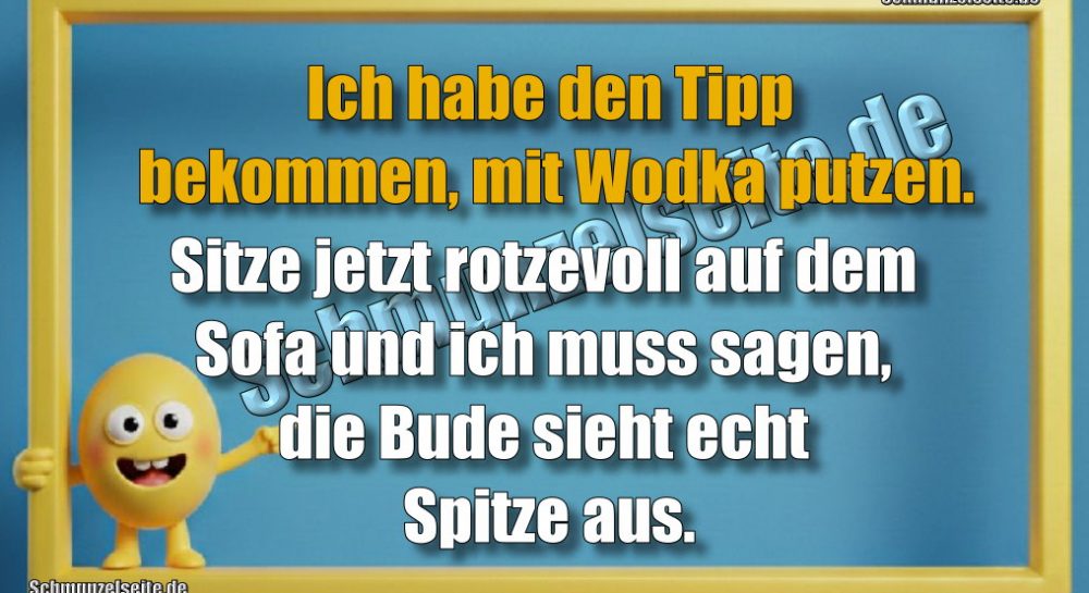 Ich habe den Tipp bekommen, mit Wodka putzen. Sitze jetzt rotzevoll auf dem Sofa und ich muss sagen, die Bude sieht echt Spitze aus.