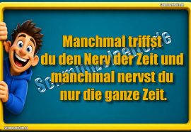 Nerv der Zeit