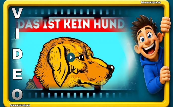 Heute gibt es optische Illusionen die einfach nur unglaublich sind. Schaut es euch an!