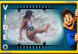 Die lustigsten Sommer Fails in einem Video. Mehr geht nicht.