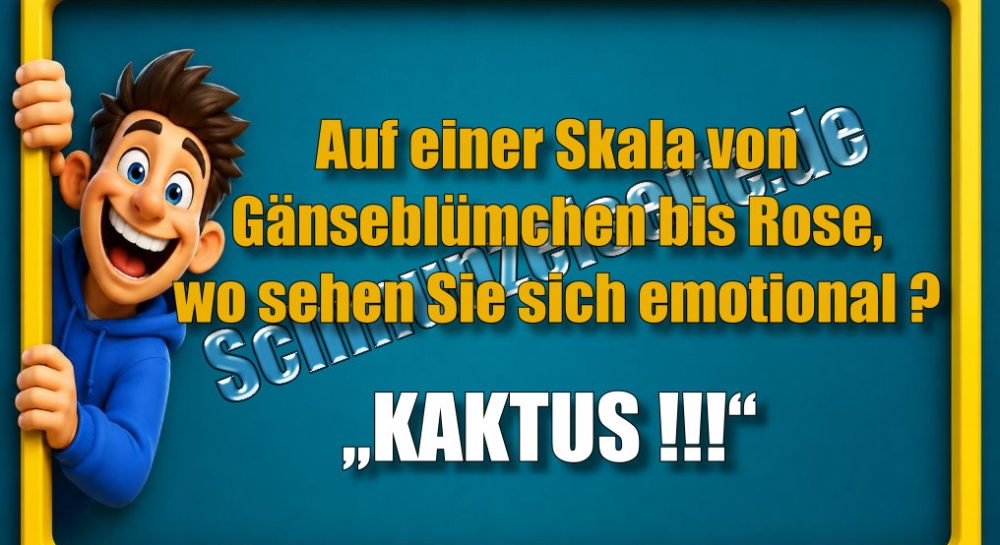 Auf einer Skala von Gänseblümchen bis Rose, wo sehen Sie sich emotional? „KAKTUS !!!“