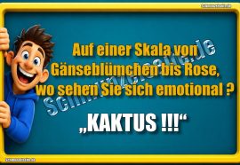 Auf einer Skala von Gänseblümchen bis Rose, wo sehen Sie sich emotional? „KAKTUS !!!“