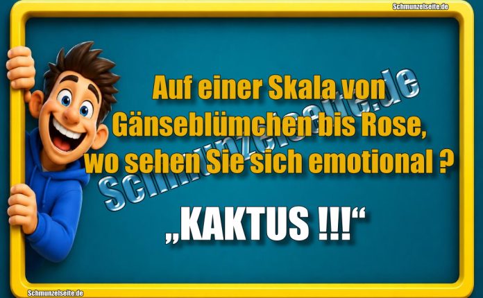 Auf einer Skala von Gänseblümchen bis Rose, wo sehen Sie sich emotional? „KAKTUS !!!“