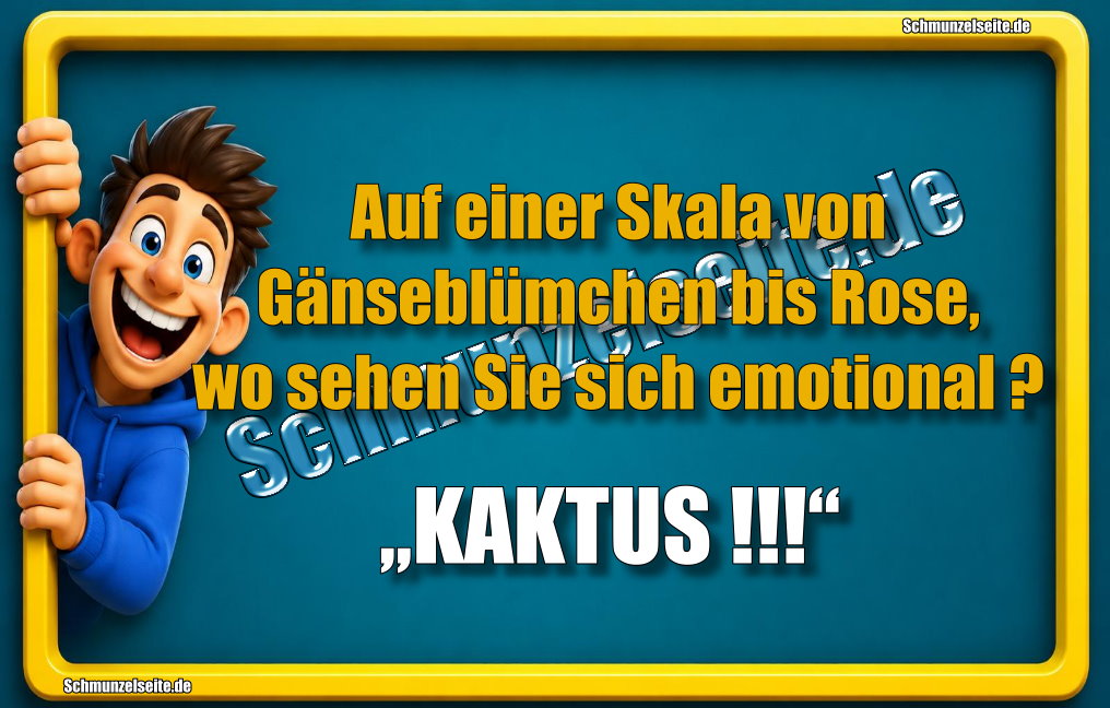 Auf einer Skala von Gänseblümchen bis Rose, wo sehen Sie sich emotional? „KAKTUS !!!“